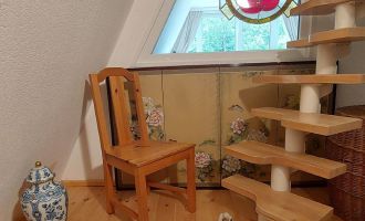 Foto: Schult